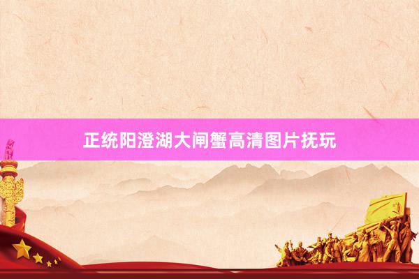 正统阳澄湖大闸蟹高清图片抚玩